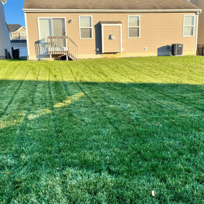 LAWN MOWING